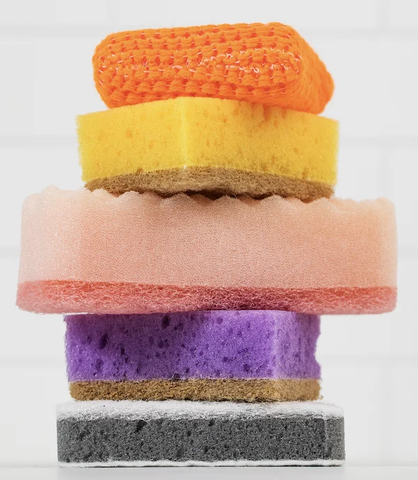 Sponges